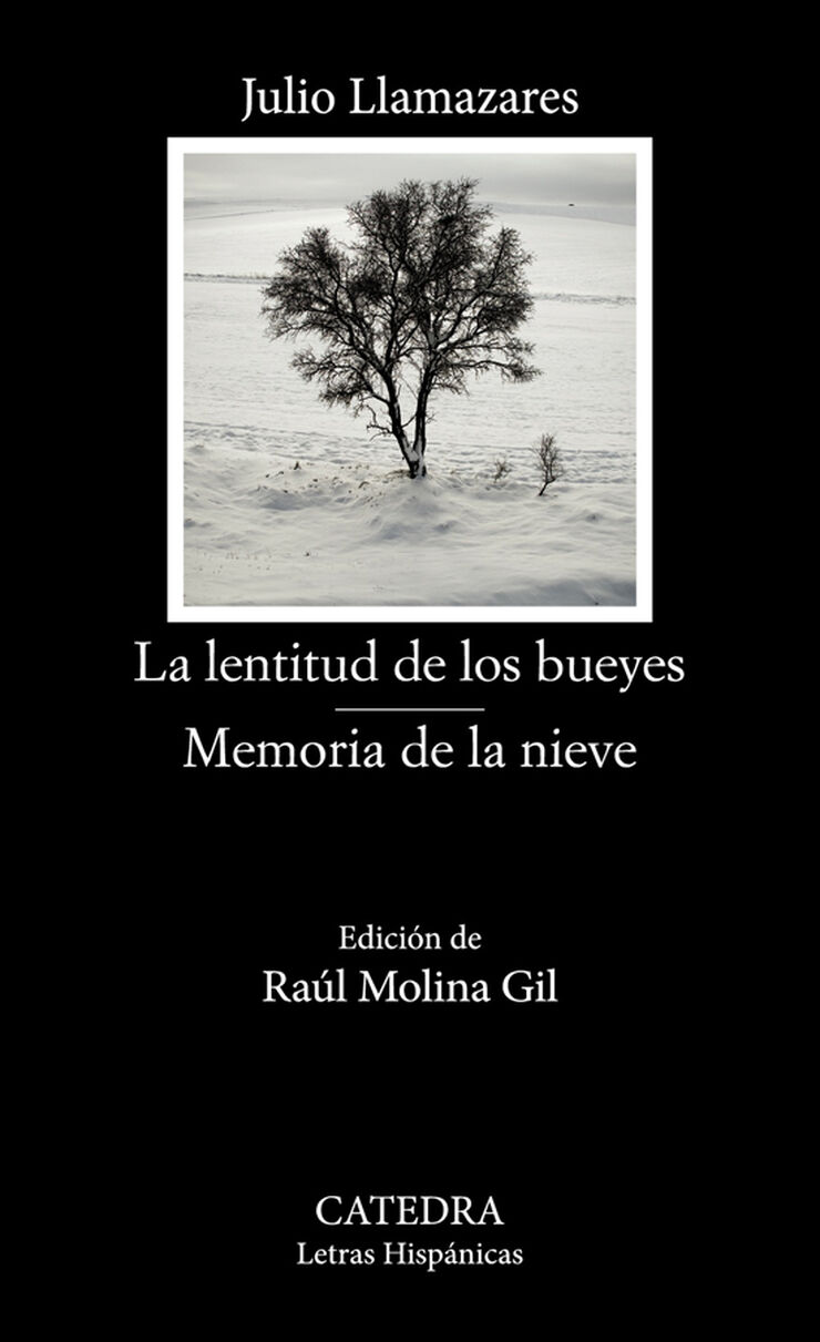 La lentitud de los bueyes, Memoria de la nieve