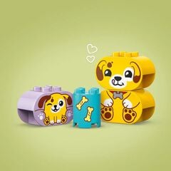 LEGO&reg; DUPLO My First Classificador de Formes: Casa dels Gossets 10441
