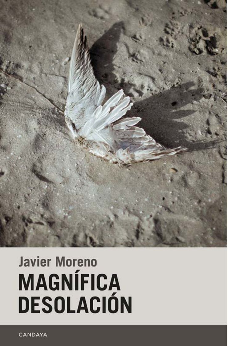 Magn&iacute;fica desolaci&oacute;n