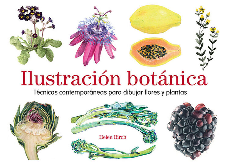 Ilustraci&oacute;n bot&aacute;nica