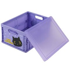 Caixa plegable iTotal Cat