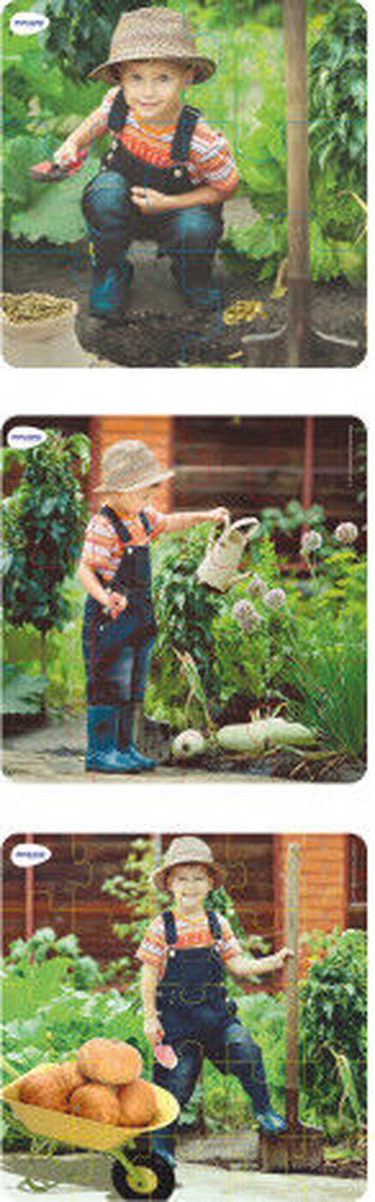 Puzzle Vida de una planta