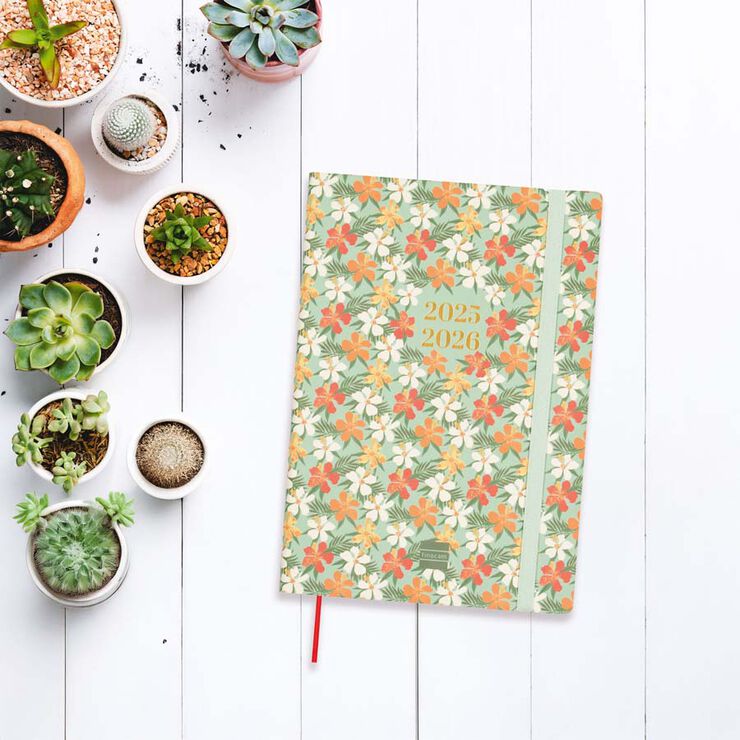 Agenda Finocam 18 mesos Mara Y10 setm/vista vertical mult 2025-26 daisy