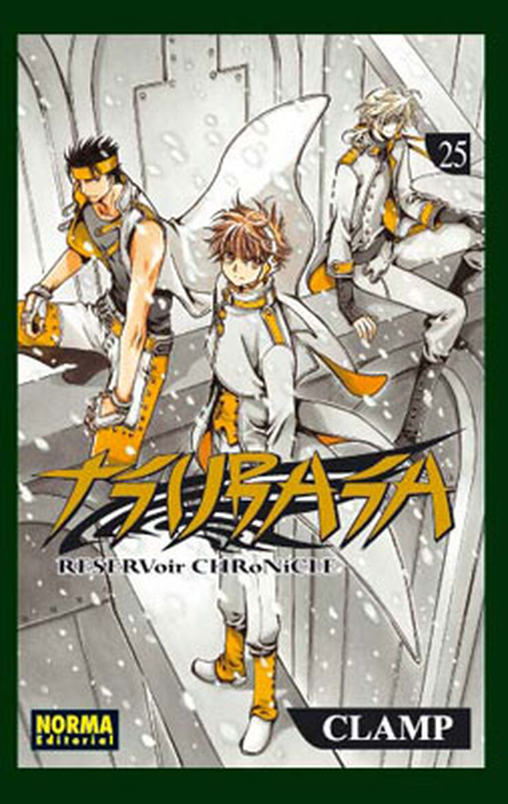 Tsubasa: Reservoir Chronicle 25