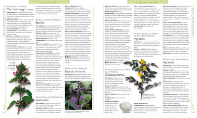 Enciclopedia de plantas medicinales
