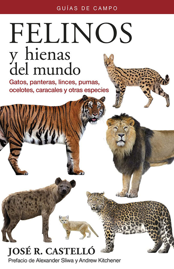 Felinos y hienas del mundo