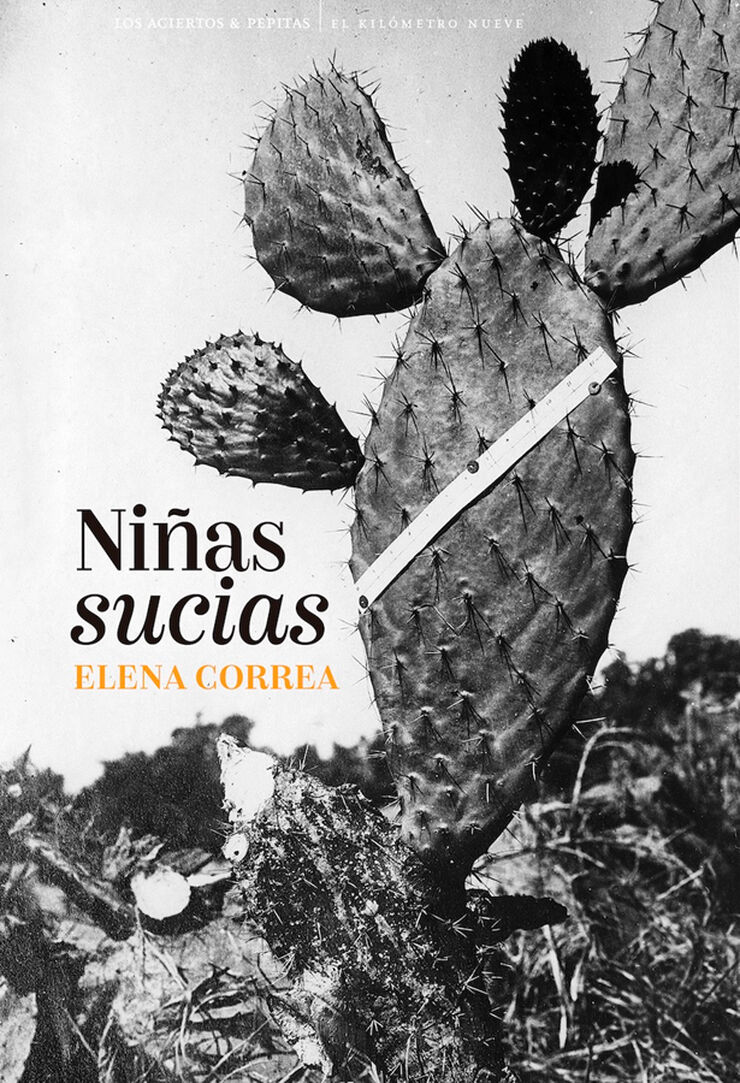 Ni&ntilde;as sucias