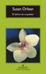El ladr&oacute;n de orqu&iacute;deas
