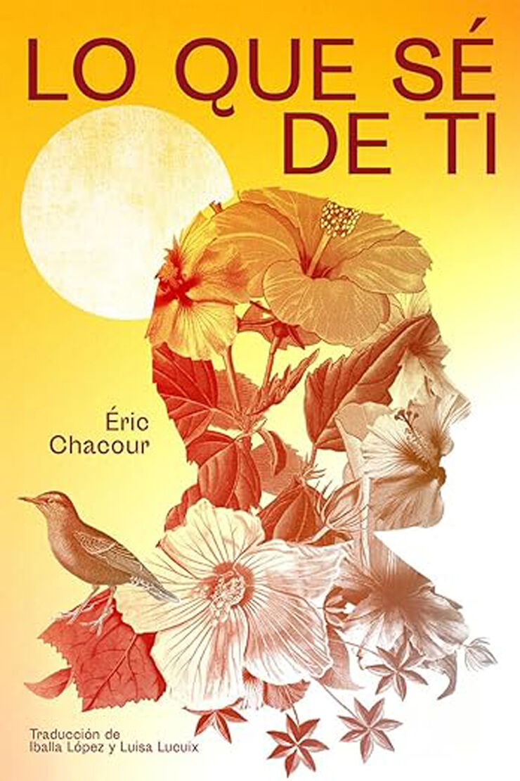 Lo que s&eacute; de ti