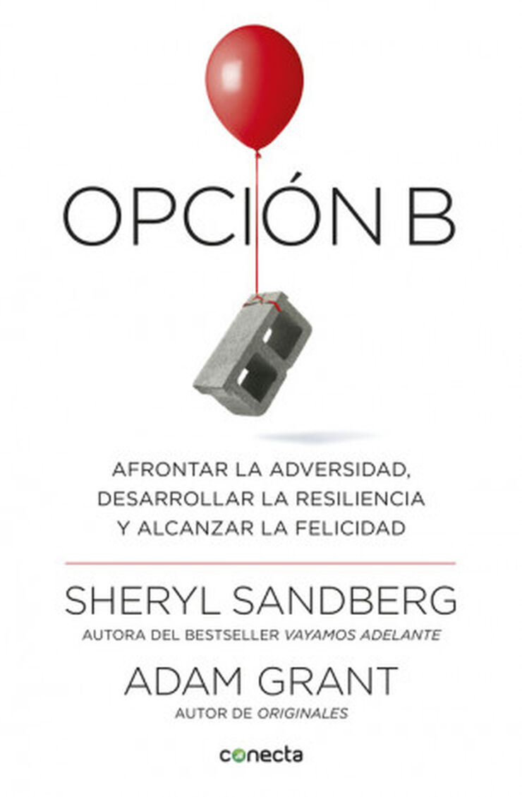 Opci&oacute;n B