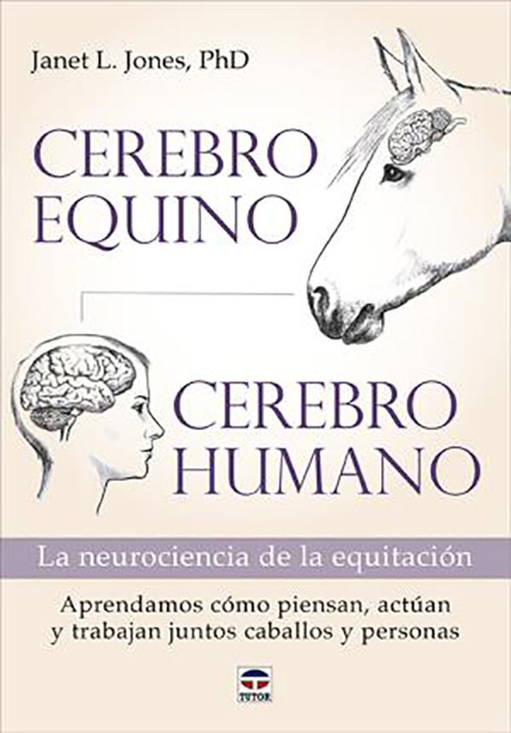 Cerebro equino, cerebro humano. La neurociencia de la equitaci&oacute;n