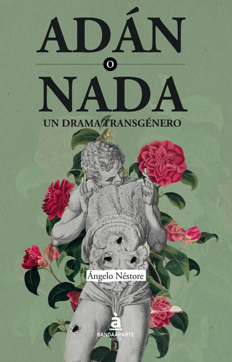 Ad&aacute;n o nada