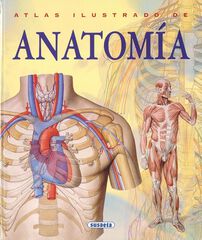 Anatom&iacute;a