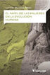 El papel de las mujeres en la historia d