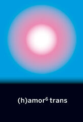 (h)amor 6 trans