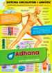 Adhac sistema circulatori/limf&agrave;tic