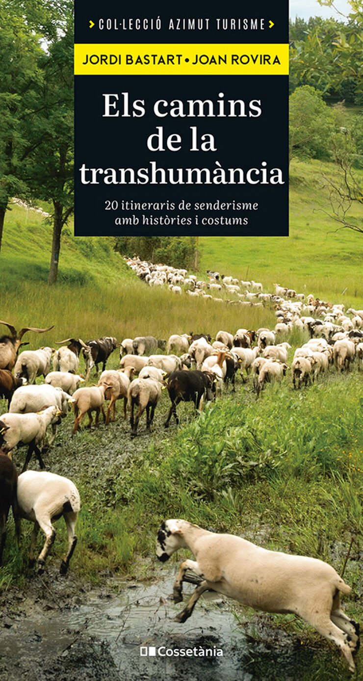 Els camins de la transhum&agrave;ncia