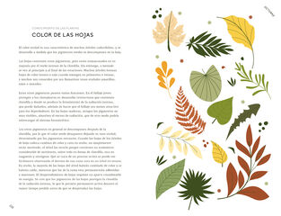 Un a&ntilde;o de conexi&oacute;n con la naturaleza