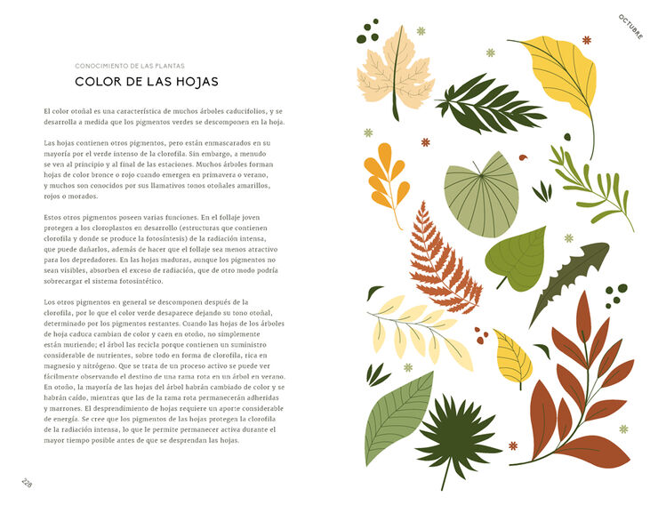 Un a&ntilde;o de conexi&oacute;n con la naturaleza