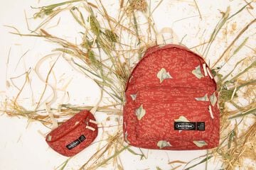 Motxilla PC Eastpak Day Pak'r Van Gogh Red