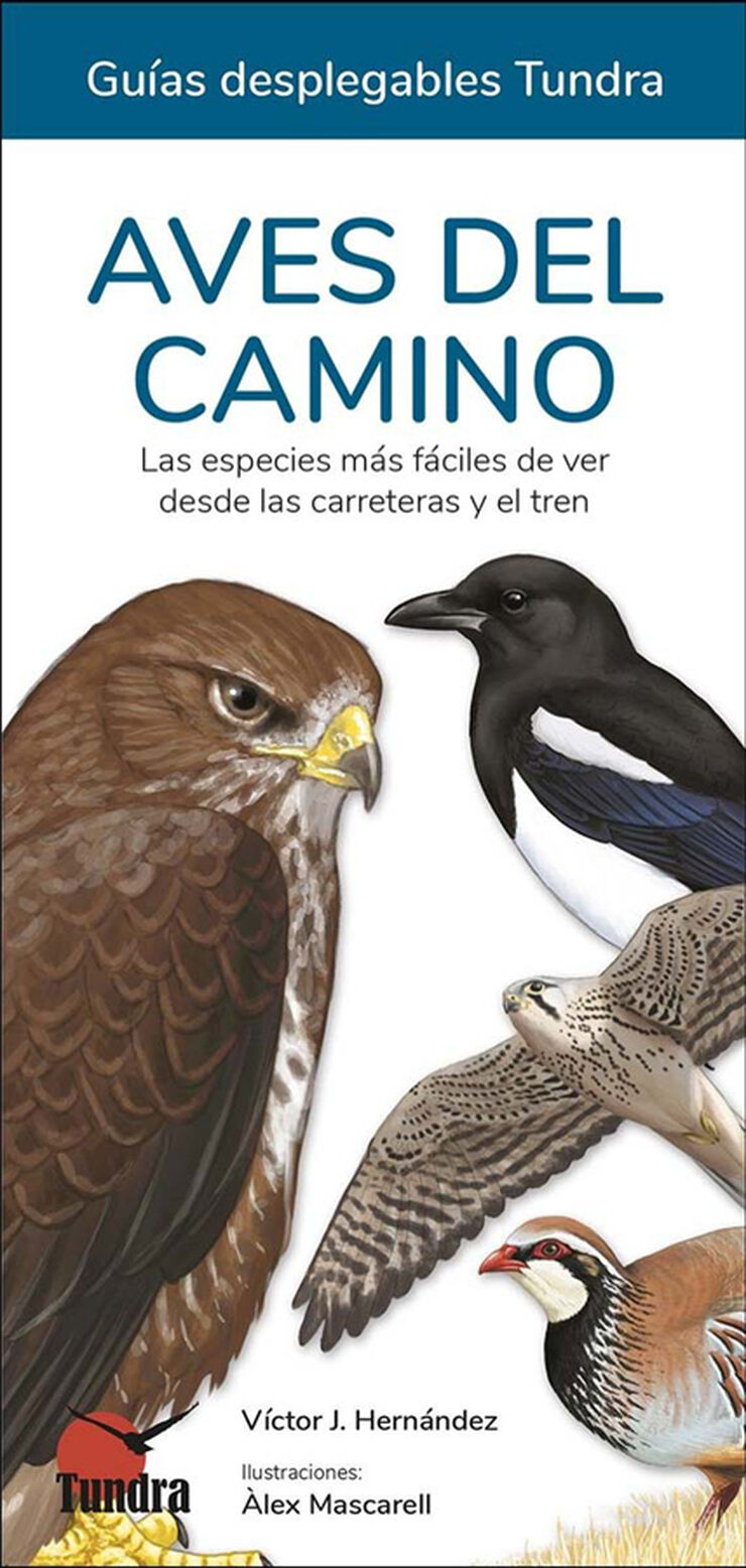 Aves del camino. Las especies m&aacute;s f&aacute;ciles de ver desde las carreteras y el tren