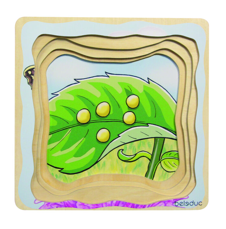 ENCAIX EVOLUTIU PAPALLONA