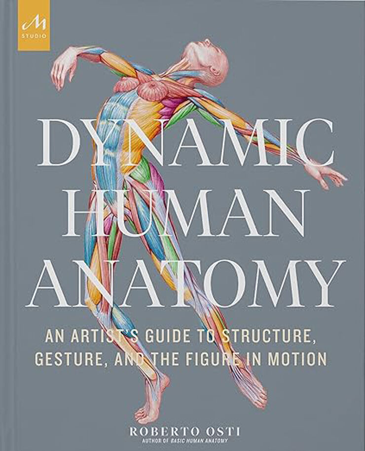 Dynamic Human Anatomy