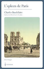 L'spleen de Par&iacute;s