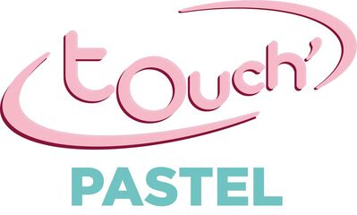 Notebook Oxford EuropeanBook 1 Touch A4+ 80 fulls 5x5 blau