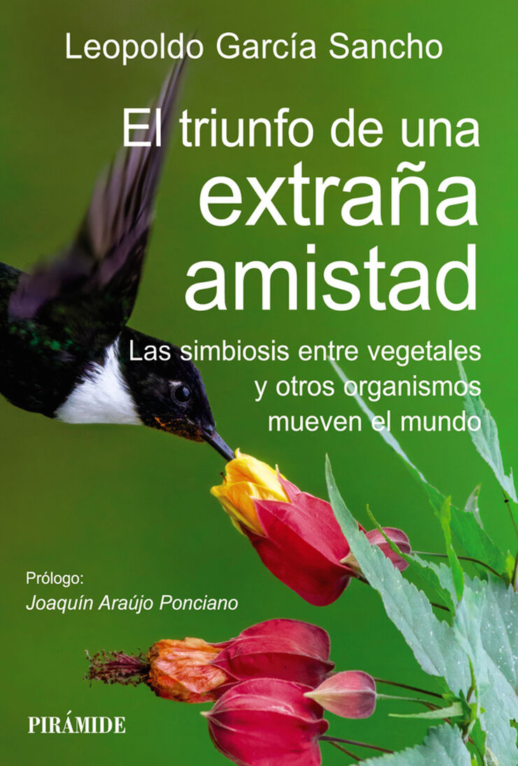 El triunfo de una extra&ntilde;a amistad