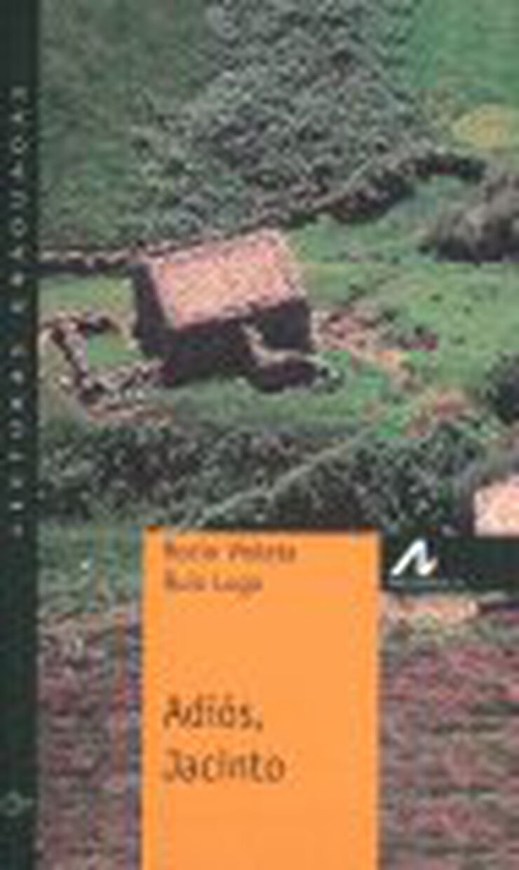 Adi&oacute;s, Jacinto (Nivel 1)