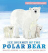 Protecting the Planet: Ice Journey of the Polar Bear