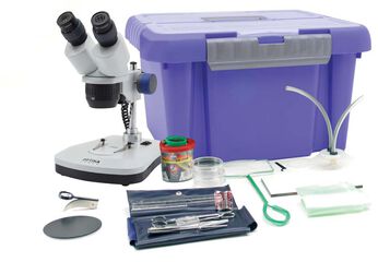 EQUIPO DE ESTEREOMICROSCOP&Iacute;A DE CAMPO
