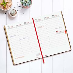 Agenda Finocam 18 mesos Mara Y10 setm/vista vertical mult 2025-26 daisy