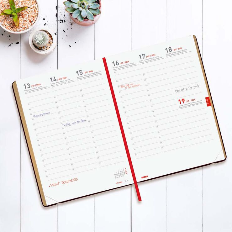 Agenda Finocam 18 mesos Mara Y10 setm/vista vertical mult 2025-26 daisy