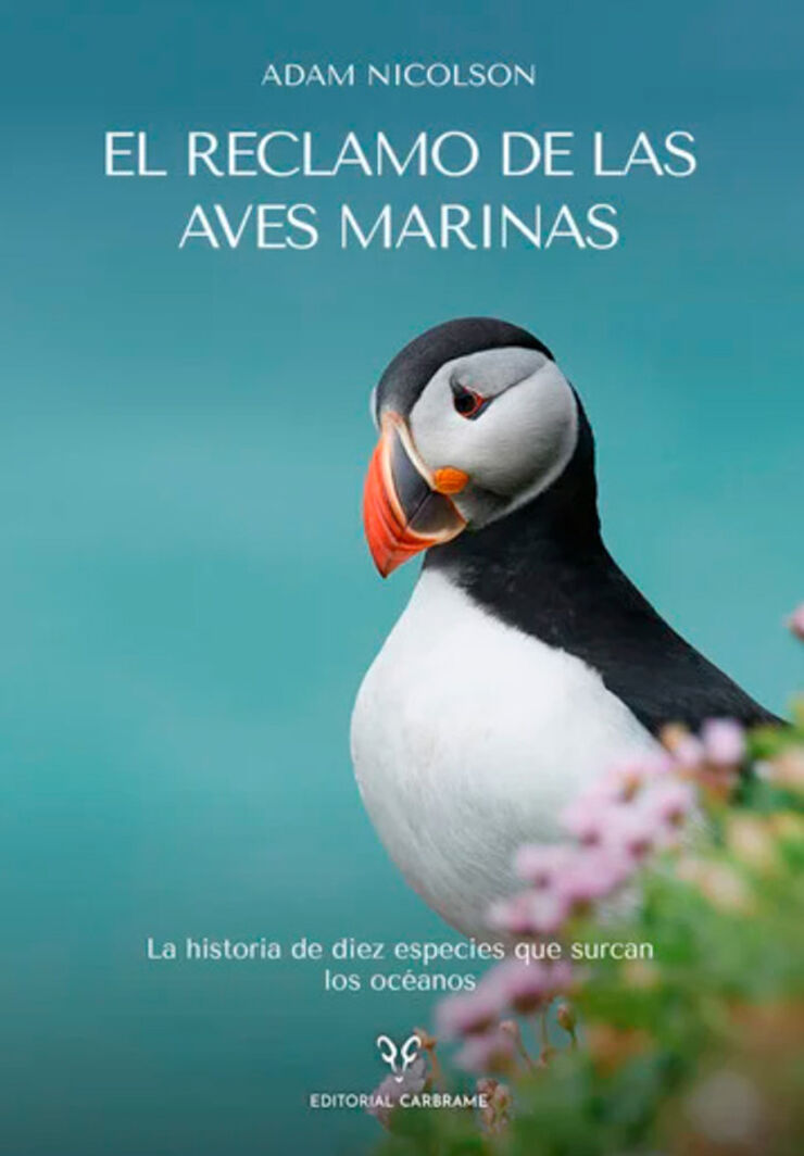 El reclamo de las aves marinas