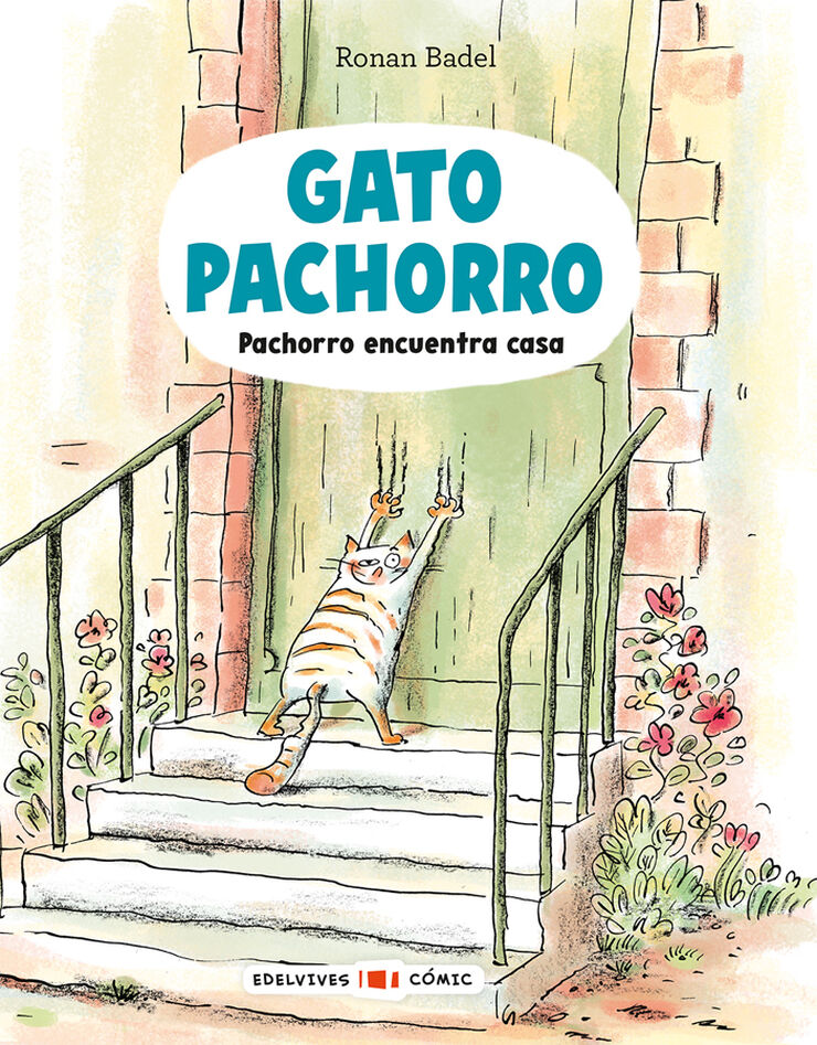 Gato Pachorro: Pachorro encuentra casa