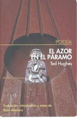 El azor en el p&aacute;ramo