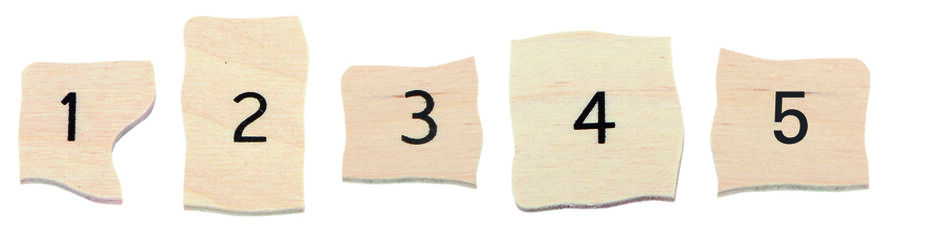 ENCAIX EVOLUTIU PAPALLONA