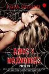 Amos y mazmorras VII