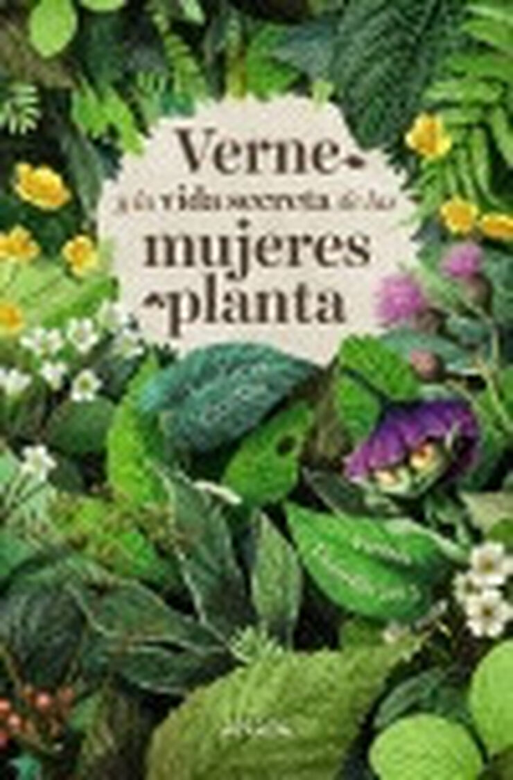 Verne y la vida secreta d&eacute;las mujeres p
