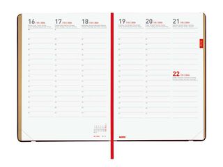 Agenda Finocam 18 mesos Mara Y10 setm/vista vertical mult 2025-26 daisy