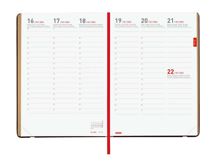 Agenda Finocam 18 mesos Mara Y10 setm/vista vertical mult 2025-26 daisy