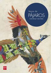 Versos de P&Aacute;JAROS