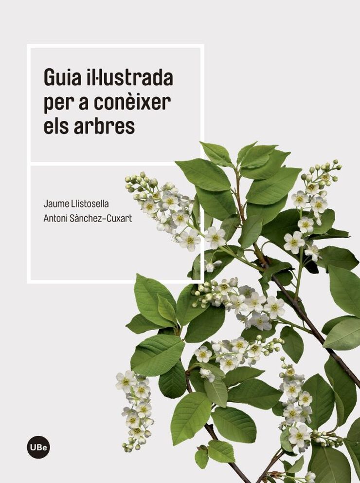 Guia il&middot;lustrada per a con&egrave;ixer els arbres
