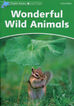 Wonderful Wuild Animals