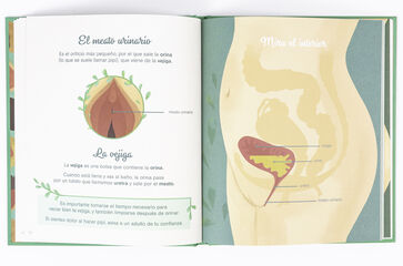 El peque&ntilde;o atlas de la intimidad: la vulva, la vagina, la regla y m&aacute;s