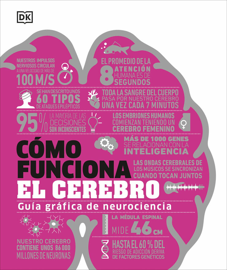 C&oacute;mo funciona el cerebro