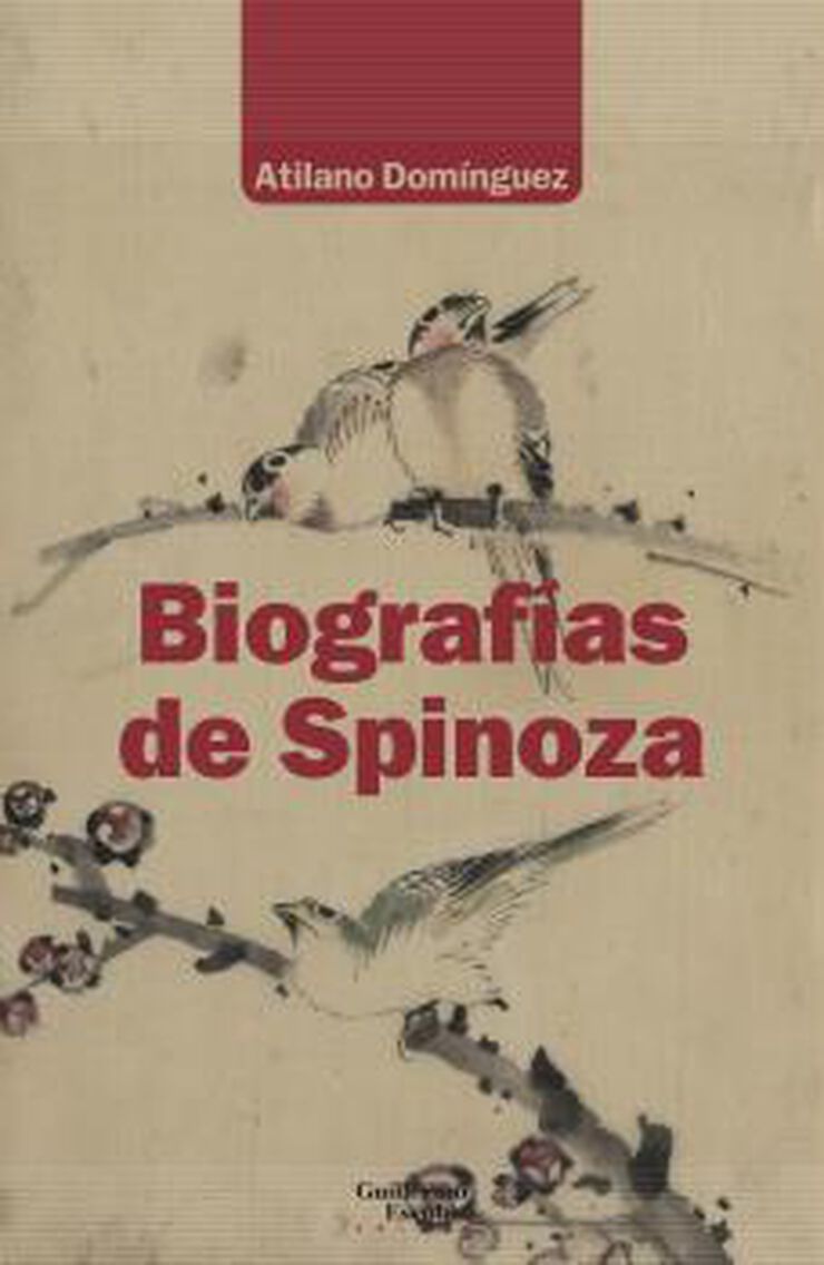 Biograf&iacute;as De Spinoza