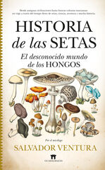 Historias de las setas